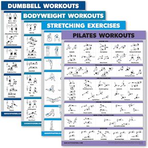 Palace Learning 4 Pack - Dumbbell Workouts + Bodyweight Workouts + Stretching Exercises + Pilates - Set of 4 Workout Charts (18" x 24", LAMINATED)