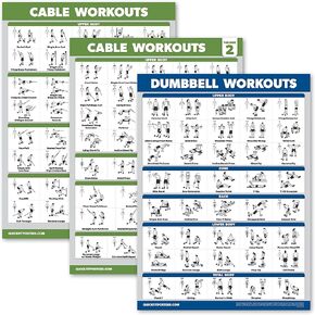 3 عبوات - ملصقات لتمارين آلة الكابلات، المجلد 1 و2 + مخطط تمرين الدمبل (مصفح، 18 بوصة × 24 بوصة) in Kuwait