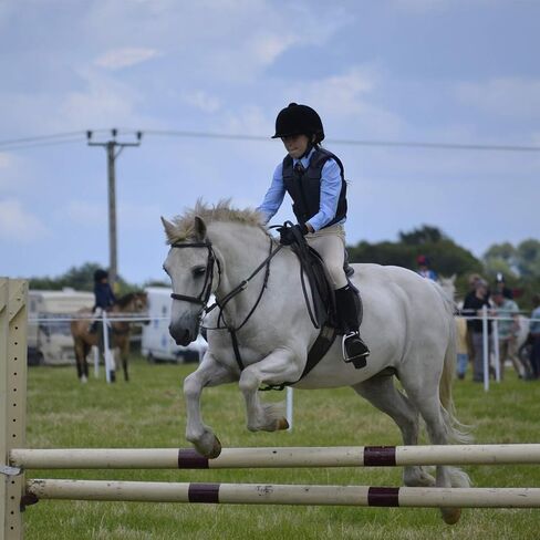 ChinFun Kid's Horse Riding Gloves Child Youth Stretchable Equestrian Mittens Boys & Girls Anti-Slip Gloves for Horseback Riding Cycling Running Outdoor Activities in Kuwait