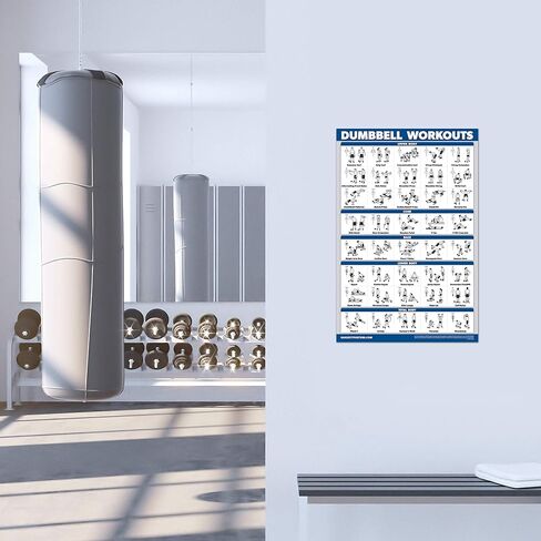 3 عبوات - ملصقات لتمارين آلة الكابلات، المجلد 1 و2 + مخطط تمرين الدمبل (مصفح، 18 بوصة × 24 بوصة) in Kuwait
