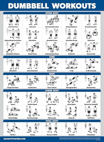3 عبوات - ملصقات لتمارين آلة الكابلات، المجلد 1 و2 + مخطط تمرين الدمبل (مصفح، 18 بوصة × 24 بوصة) in Kuwait