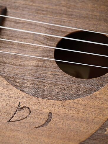 إيدي فين مون آند ستارز، جسم دائري UKE، ضبط الحفلات الموسيقية ماهوغا in Kuwait