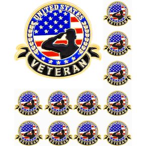 DISCAO 12/25/50/100 pieces Veteran brooches pins enamel American veteran's pin USA Veterans lapel pin Memorial Day pin for Clothes Backpack Hat Military patriotic Decoration Souvenir gift badge bulk