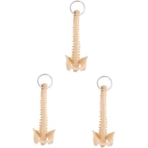 VALICLUD 3pcs Human Spine Model Model Biology Keyring Spine Keyring Spine Ring Kids Cars Toy Keychain For Manikin Keychain Pendant Human Body Wallet Child PVC for Girls Women Men