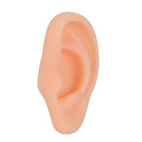Ear Model,Professional Soft Silicone Left Ear Model Fake Ear Display Sample For Study Practice Teaching Tool (Right Ear)