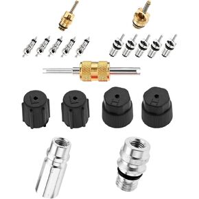 Mtsooning Cap & Valve Seal Kits Air Conditioning Valve Core Set AC Service Valve with Removal Tool R12 to R134a Conversion Kit Car & HVAC AC System Charging Port