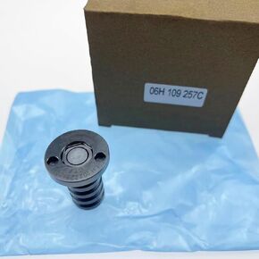 06H109257C 427000510 06H10 9257C 06J109257C Camshaft Timing Control Solenoid Valve/Variable Valve Timing (VVT) Oil Control Valve for VW Golf Passat Audi A4 TT A6 Q5 A5, Silver