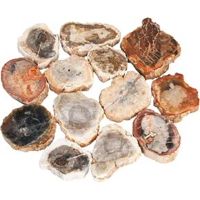 mookaitedecor Pack of 5 Natural Petrified Wood Slab, Polished Fossil Stone Tree Specimen Slice for Tabletop Home Decor