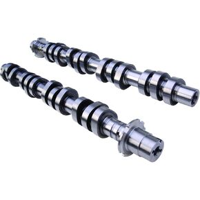Ford M65503V Camshaft for Mustang GT '05-'09