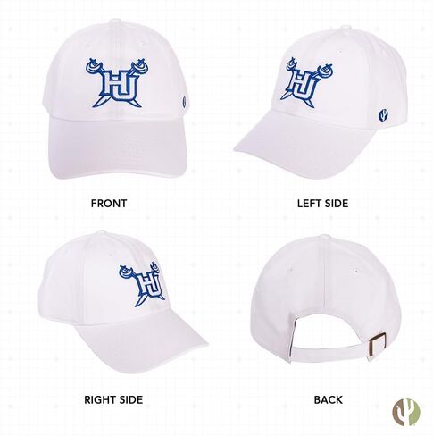 Desert Cactus Hampton University Baseball Hat Virginia Pirates Brimmed Embroirderd Cap Adjustable Cloth Strap Adult (Style D) Black in Saudi Arabia