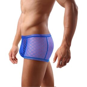 Men's Sexy Underwear Briefs See Through Sheer Mesh Boxer Briefs with Pouch