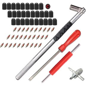 30 Sets Valve Cores and Caps Tool Kit with 1x Valve Stem Remover 1x 4-Way Tool 2X Valve Core Remover 30x Valve Cores 30x Plastic Valve Caps with O Rubber Ring