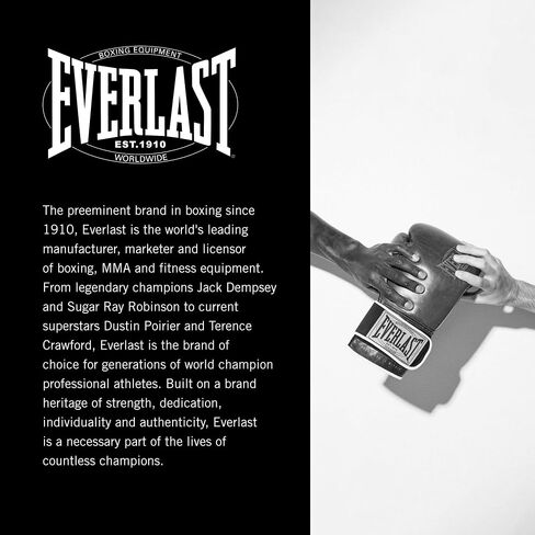 Everlast 1910 Focus Mitts in Saudi Arabia