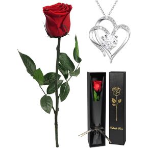Yamonic Rose Birthday Gifts for Women, Eternal Real Rose with Heart Necklace Gifts for Mom Grandma,Preserved Flowers Rose with Stem for Christmas,Mothers Day,Valentine's Day Gifts (Red)