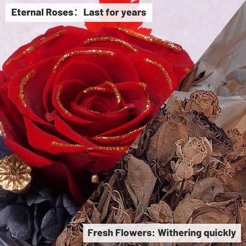 Yamonic Preserved Flowers Rose Birthday Gifts for Women Mom in Glass Angel Figurines, Mothers Day Rose Gifts for Mom Grandma, Christmas Angel Rose Gifts for Her, Mothers, Valentine's Da (Purple) in Kuwait