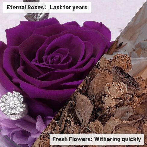Yamonic Preserved Flowers Rose Birthday Gifts for Women Mom in Glass Angel Figurines, Mothers Day Rose Gifts for Mom Grandma, Christmas Angel Rose Gifts for Her, Mothers, Valentine's Da (Purple) in Kuwait