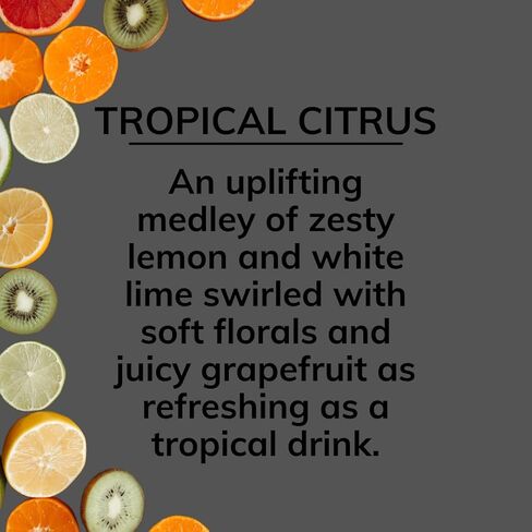 Citrus Magic On The Go Odor Eliminating Air Freshener Spray for Auto, Tropical Citrus, 8-Ounce, Pack of 2 in Kuwait
