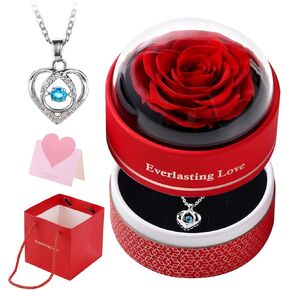 Preserved Real Red Rose,Forever Flowers Rose Gifts for Women Mum Wife Girlfriend,Fresh Rose Flower Gift Box with Necklace for Her Ideal on Christmas,Valentines Day, Anniversary or Birthday Gifts(2)