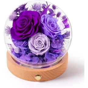 Valentines Day Roses Gifts for Her,Forever Preserved Flowers Roses in Glass Dome,Roses Gifts for Wife Mom Women Daughter Best Friend/Purple