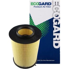 ECOGARD XA6149 Premium Engine Air Filter Fits Ford Focus 2.0L 2012-2018, Escape 2.0L 2013-2019, Escape 1.5L 2017-2019, Escape 1.6L 2013-2016, Focus 1.0L 2015-2018, EcoSport 1.0L 2019