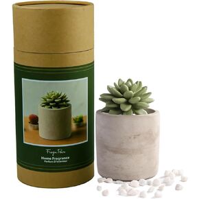 Reed Diffuser Set, Pretty Valley Home Succulent Gypsum Ceramic Fragrance Diffuser Vase Set - Frozen Pear 3.38 fl oz (100 ml), Home Fragrance Reed Diffuser for Bathroom Office Living Room Decor