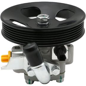 Chefull 21-173 Power Steering Pump with Pulley Fits for 2007 2008 Kia Rondo, 2007-2009 Kia Optima, 2007-2009 Kia Magentis, 60-6807P