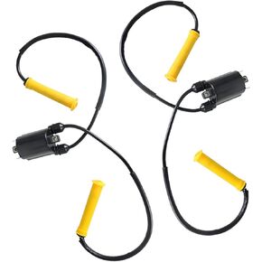 labwork 2 x Ignition Coil W Wire Cap Replacement for Honda VTX1300 2004-2009 Replacement for Honda VT1300 2010-2020