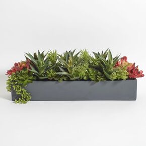 Faux Succulent Arrangement, Premium Artificial Indoor Plant Enhances Interior Design, Display on Any Surface in Your Home Adding an Inviting Touch of Nature, Grey Planter Pot Included