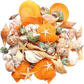 UEIEU gopiter Sea Shells - Beach Mixed Seashells - Various Size up to 2" Natural sea Shells for Crafting Fish Tank Vase Fillers Beach Theme Party Wedding Decor Home Decorations DIY Crafts (Color)