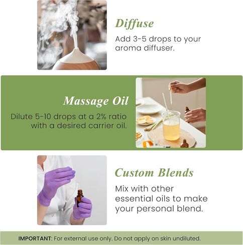 Handcraft Blends Palmarosa Essential Oil - Huge 4 Fl Oz - 100% Pure and Natural - Premium Grade with Glass Dropper in Kuwait