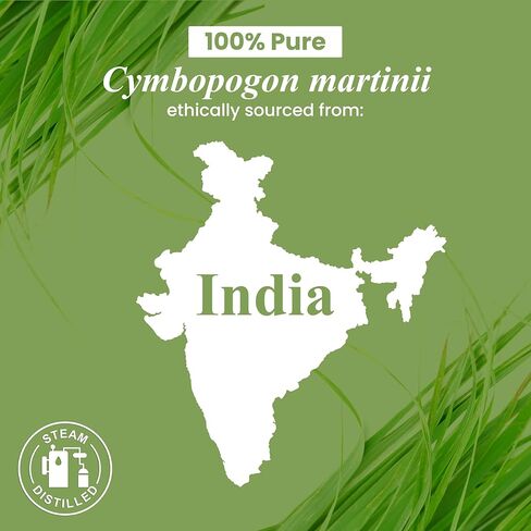 Handcraft Blends Palmarosa Essential Oil - Huge 4 Fl Oz - 100% Pure and Natural - Premium Grade with Glass Dropper in Kuwait