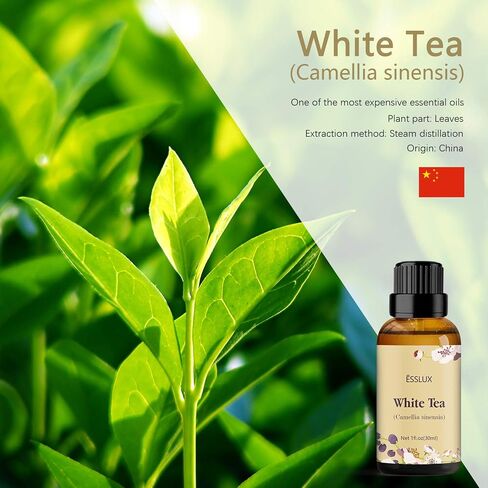 White Tea Essential Oil, ESSLUX Aromatherapy Essential Oils for Diffuser, Massage, Soap, Candle Making, Home Fragrance, 30 ml in Kuwait