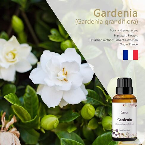White Tea Essential Oil, ESSLUX Aromatherapy Essential Oils for Diffuser, Massage, Soap, Candle Making, Home Fragrance, 30 ml in Kuwait