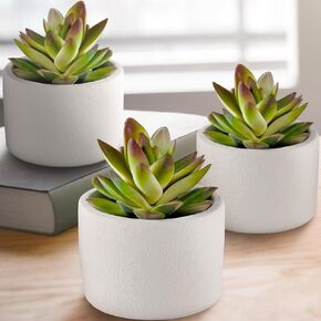 Succulents Plants Artificial in Ceramic Pots (3 Pack) - Realistic Fake Succulents for Modern Home Decor & Black Bathroom Decor (Black)
