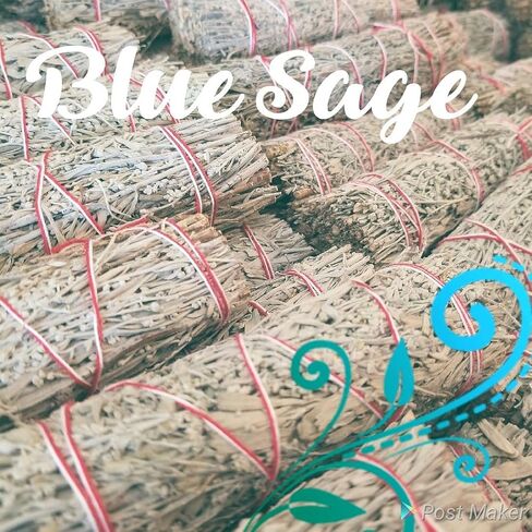 Bulk Sage Bundles Wholesale, Fresh Organic Smudge Sticks, White Sage Sticks for Home Cleansing, Smudging Sage Bulk, Wholesale Sage with Instructions, Charitable! (Blue Sage - 25 Sticks) in Saudi Arabia
