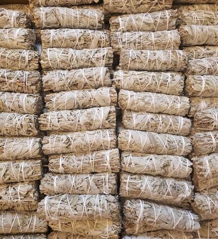 Bulk Sage Bundles Wholesale, Fresh Organic Smudge Sticks, White Sage Sticks for Home Cleansing, Smudging Sage Bulk, Wholesale Sage with Instructions, Charitable! (Blue Sage - 25 Sticks) in Saudi Arabia