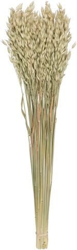 فيكرمان ناتشورال بوتانيكالز 24-26 بوصة شوفان أفينا المجفف الطبيعي، 4 أونصة in Kuwait