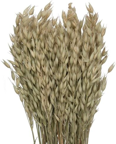 فيكرمان ناتشورال بوتانيكالز 24-26 بوصة شوفان أفينا المجفف الطبيعي، 4 أونصة in Kuwait