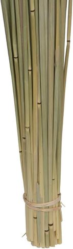 فيكرمان ناتشورال بوتانيكالز 24-26 بوصة شوفان أفينا المجفف الطبيعي، 4 أونصة in Kuwait