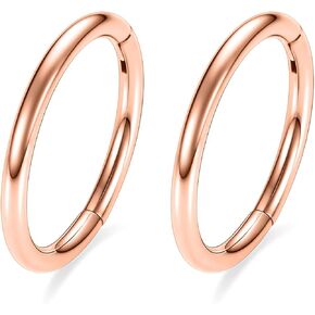 AROWRO Hinged Segment Ring Hoop Septum Clicker CZ 20G 18G 16G 14G 8G 6G 5mm/6mm/7mm/8mm/9mm/10mm/12mm/14mm Surgical Steel Helix Daith Rook Conch Tragus Cartilage Earrings