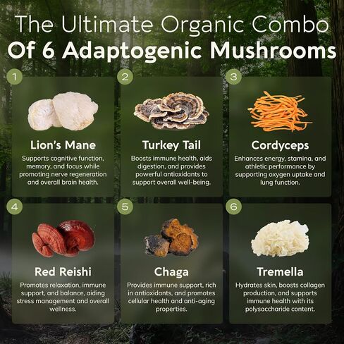 Longevity Botanicals 6 Mushroom Supplement Blend - Organic Mushroom Complex Powder - Lions Mane, Reishi, Turkey Tail, Cordyceps, Tremella and Chaga - 100% Fruiting Body - 3.5 oz in Kuwait
