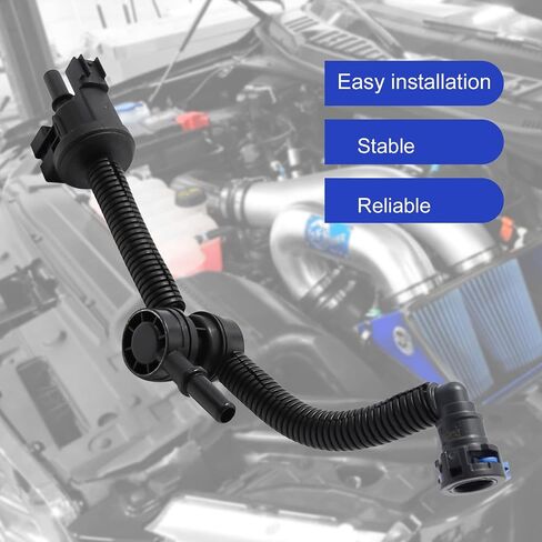 دعامة دعم أنبوب الوقود مع صمام التطهير، بديل لسيارة Ford F150 Edge 2.7L V6 2015-2017 صمام الملف اللولبي لتطهير العلبة، يستبدل FL3Z-9B325-A GL3Z-9B325-A BL3Z-9B325-C in Saudi Arabia