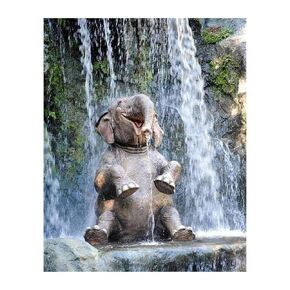 Laughing Elephant - Animal Wall Art Decor, Positive Young Elephant Under Waterfall Wall Art Photo Print is Ideal for Home Decor, Nursery & Kids Room Decor. Great Smile Inducing Gift! Unframed - 8X10