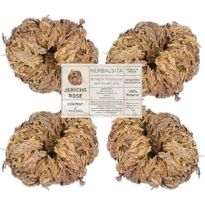 4-Pack Large Premium Rosa de Jericó (Resurrection Plant) Jericho Rose – Symbol of Prosperity & Abundance, Ideal for Home Decor & Spiritual Healing