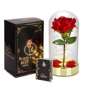 Pre Lit Rose Gift-Valentines Day Flower for Her, Anniversaryor Women, Birthdayfor Women, Christmas, Flowers for Women (Red)