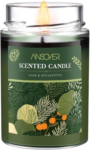 Scented Soy Candles, Aromatherapy Jar Candles for Home Scented, Long Lasting Candles with 65 Hour Burn Time 11oz, Candle Gifts Soy Candles Scents of (Pine & Eucalyptus) in Saudi Arabia