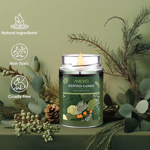 Scented Soy Candles, Aromatherapy Jar Candles for Home Scented, Long Lasting Candles with 65 Hour Burn Time 11oz, Candle Gifts Soy Candles Scents of (Pine & Eucalyptus) in Saudi Arabia