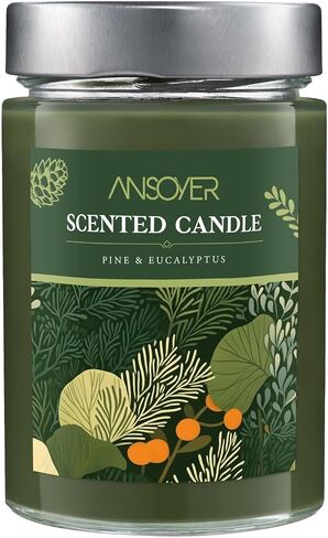 Scented Soy Candles, Aromatherapy Jar Candles for Home Scented, Long Lasting Candles with 65 Hour Burn Time 11oz, Candle Gifts Soy Candles Scents of (Pine & Eucalyptus) in Saudi Arabia