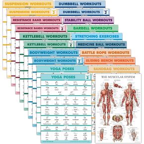 Palace Learning 20 Pack - Exercise Poster Set: Dumbbell, Suspension, Battle Rope, Stretching, Bodyweight, Barbell, Yoga, Exercise Ball - (LAMINATED, 18" x 24")