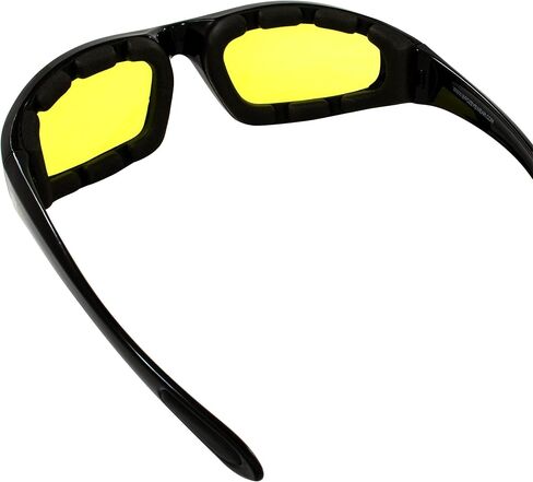 Birdz Eyewear Oriole Motorcycle Glasses in Kuwait